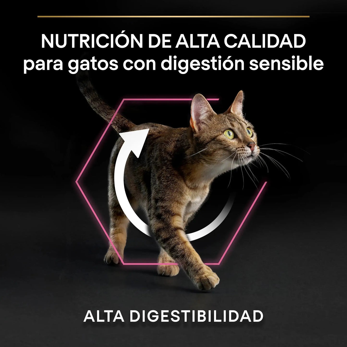 Pro Plan Cat Adult Delicate Digest Pavo 3 kg PURINA