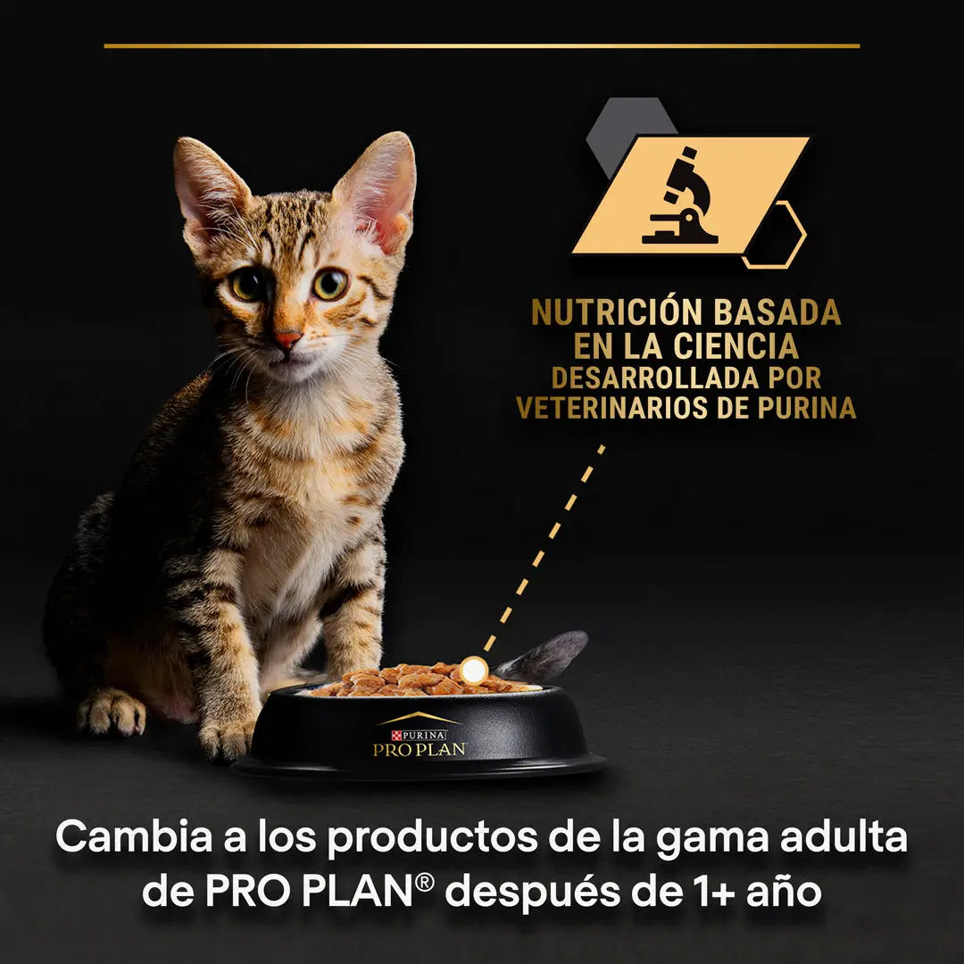 Pro Plan Cat Sobre Kitten Pavo 85 g PURINA