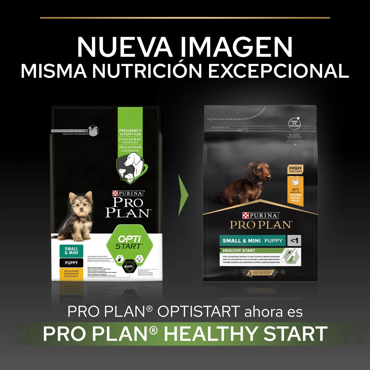Pro Plan Dog Puppy Small y Mini Start Pollo Pienso para Cachorros PURINA
