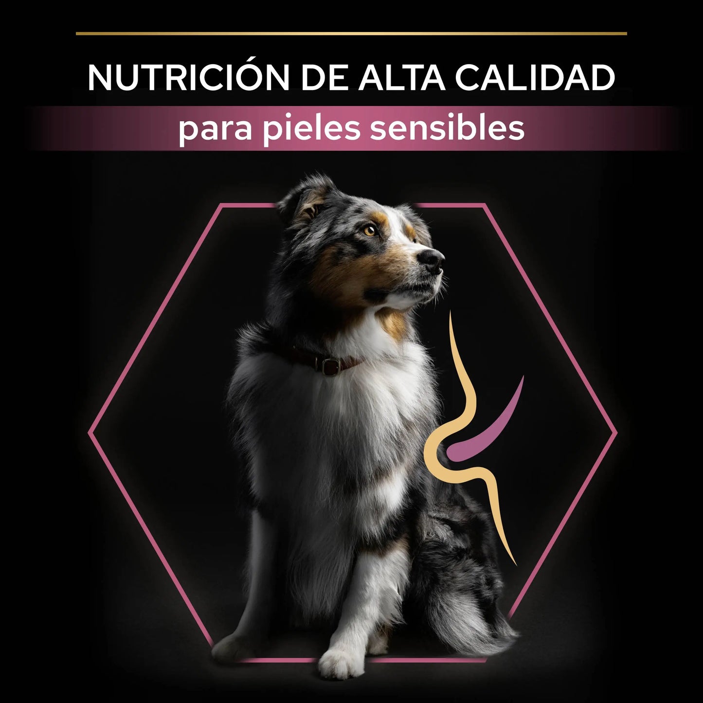 Pro Plan Dog Medium Adult Skin Salmón 3 kg PURINA