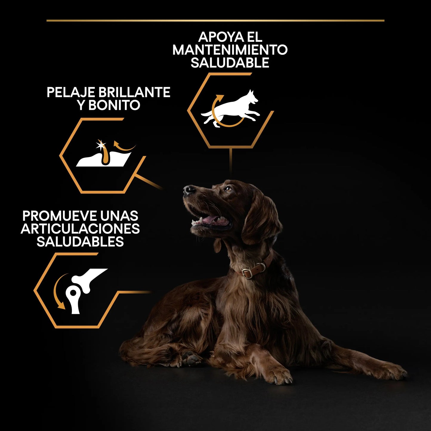 Pro Plan Dog Large Athletic Adult Pollo 14 kg+2,5 kg gratis PURINA