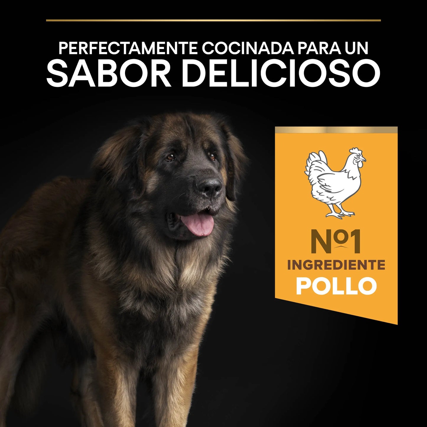 Pro Plan Dog Large Robust Adult Pollo 14 kg+2,5 kg gratis PURINA