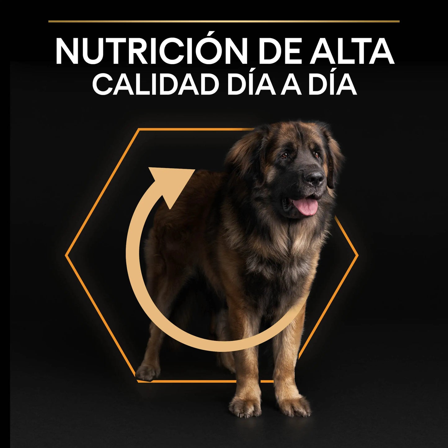 Pro Plan Dog Large Robust Adult Pollo 14 kg+2,5 kg gratis PURINA
