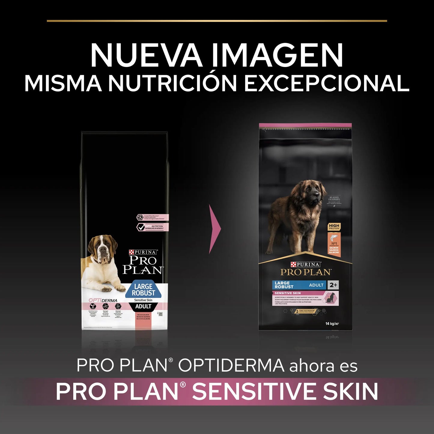 Pro Plan Dog Large Robust Adult Skin Salmón 14 kg PURINA