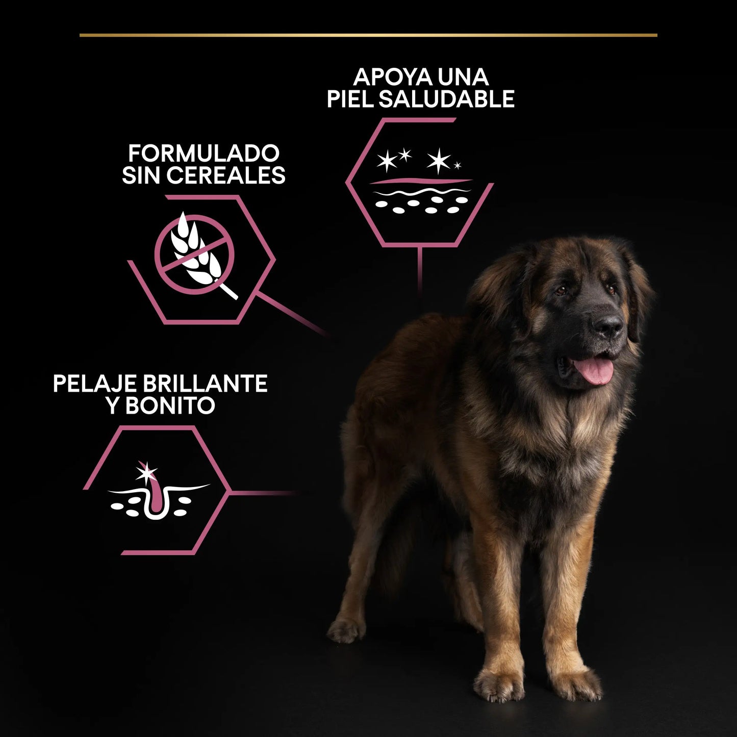 Pro Plan Dog Large Robust Adult Skin Salmón 14 kg PURINA