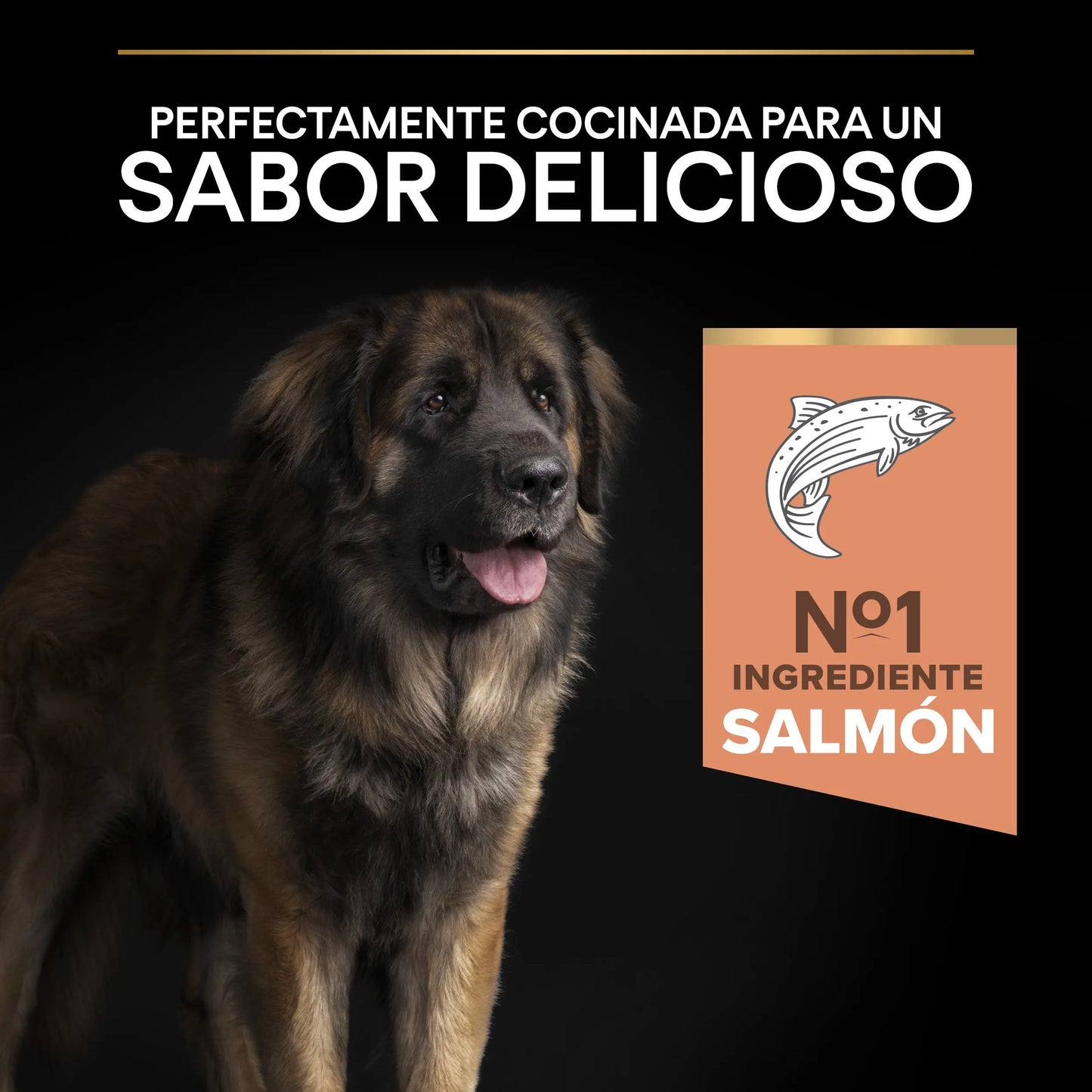 Pro Plan Dog Large Robust Adult Skin Salmón 14 kg PURINA