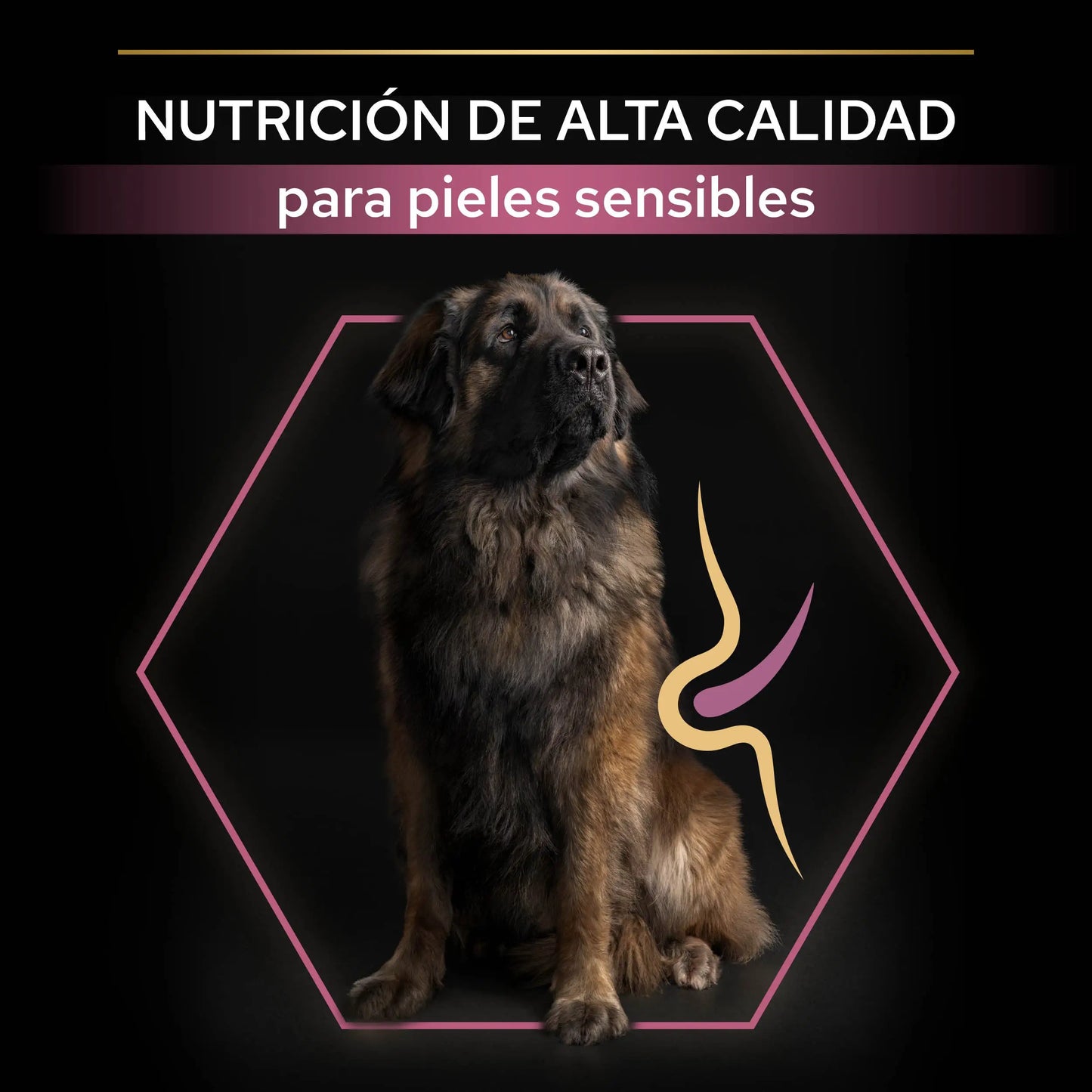 Pro Plan Dog Large Robust Adult Skin Salmón 14 kg PURINA