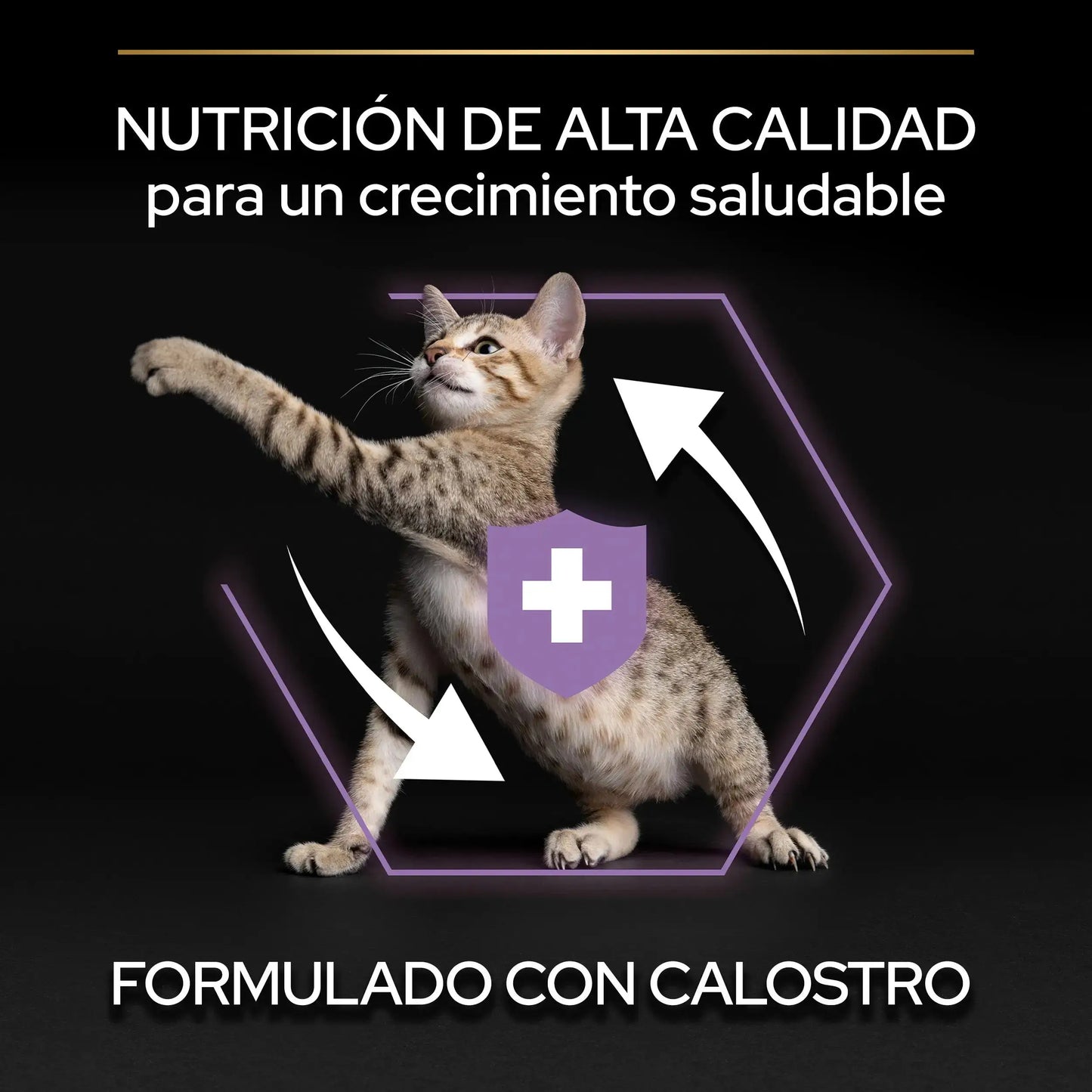 Pro Plan Cat Kitten Start Pollo 3 kg PURINA
