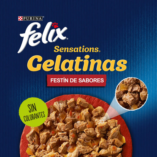 Felix Sensations Carnes Gelatina Pack 12X85 g