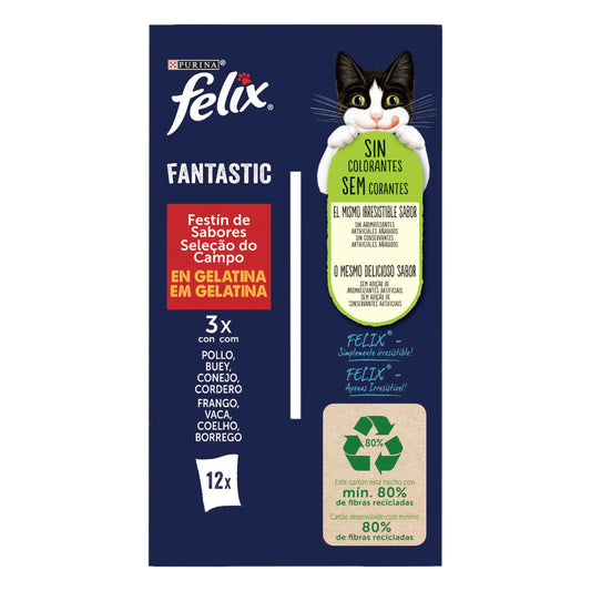 Felix Fantastic Carnes Gelatina Pack 12X85 g