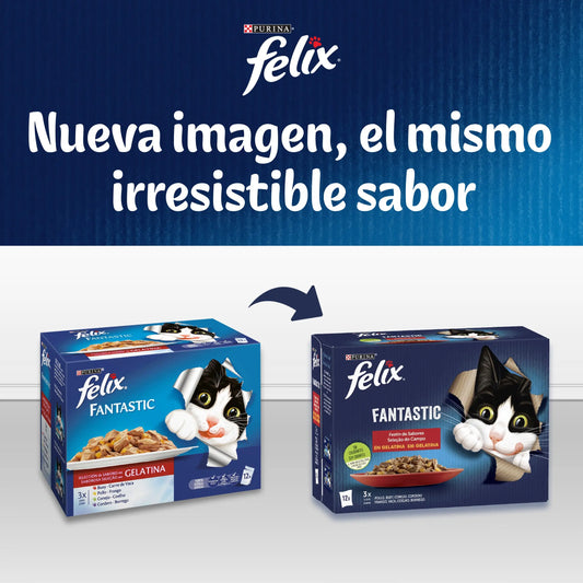 Felix Fantastic Festin Del Mar Pack 12X85 g