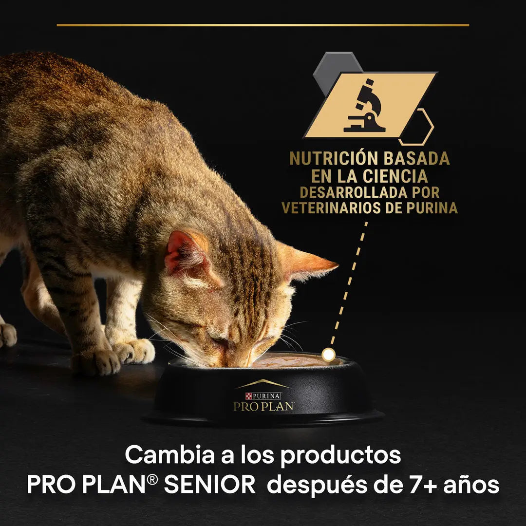 Pro Plan Cat Lata Delicate Pavo 85 g PURINA