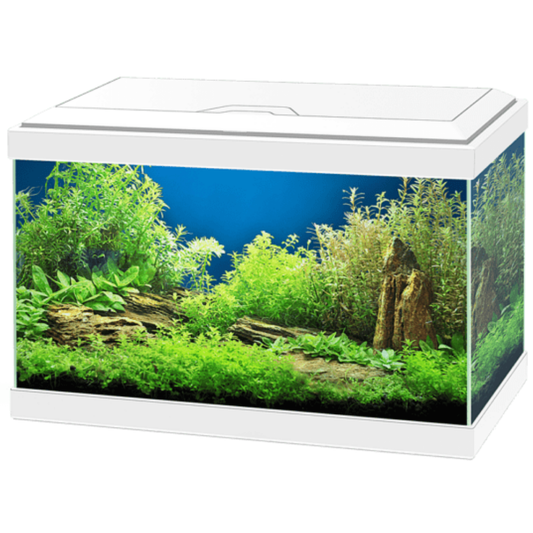 Acuario Aqua 20 Light Led Ciano