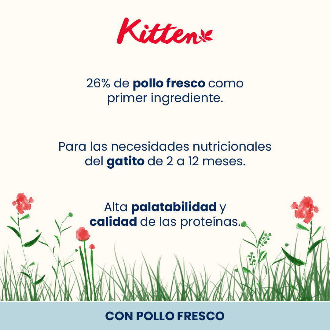 Banner promocional Almo Nature Intestinal Help Cordero Pienso para Gatos