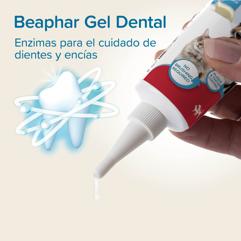 Beaphar Gel Dental para Perros y Gatos 100 g BEAPHAR Mascotas-Ávila