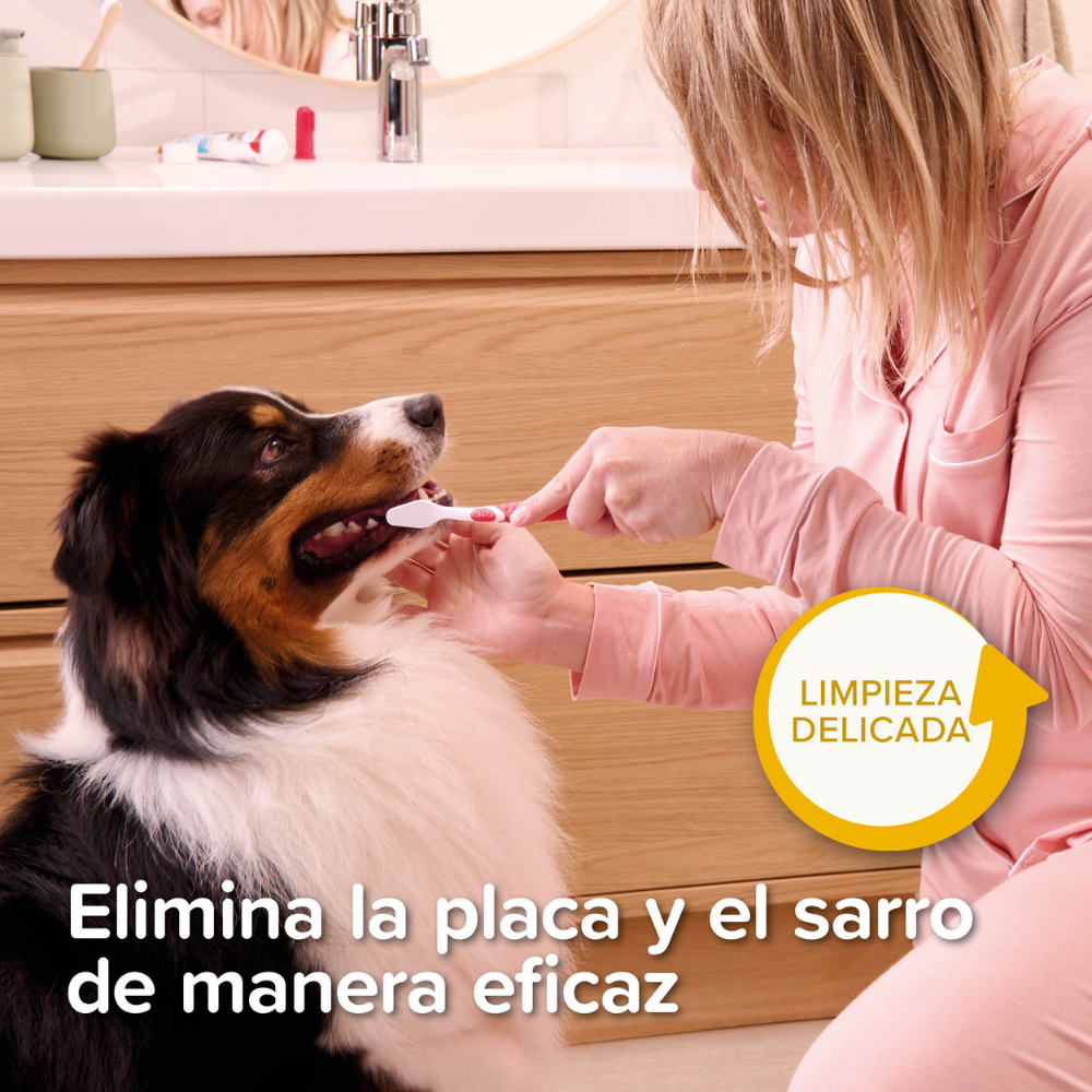 Beaphar Pack Dental para Cachorros | Pasta de Dientes + Cepillo + Cepillo de Dedo BEAPHAR Mascotas-Ávila