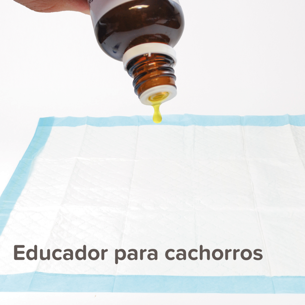 Beaphar Puppy Trainer Educador 20 Ml BEAPHAR Mascotas-Ávila