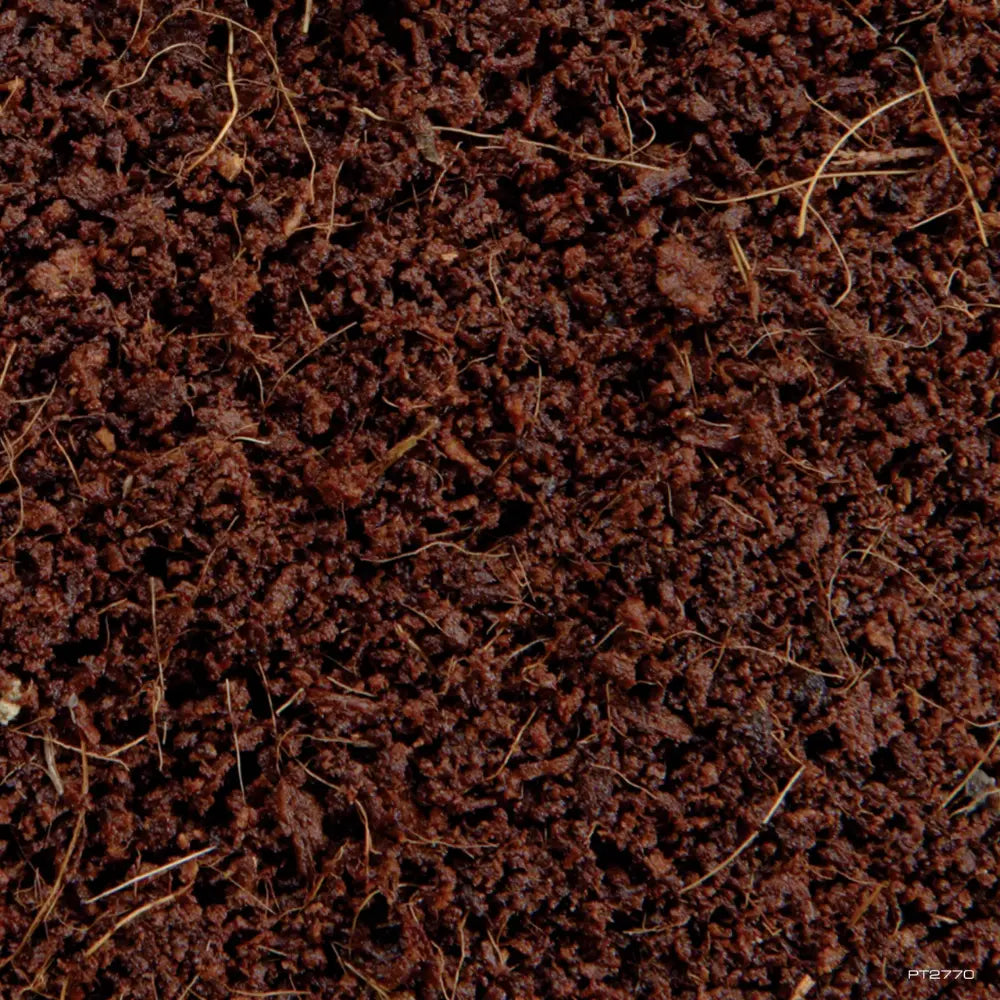 Exo Terra Plantation Trail (Coco) 650 g EXOTERRA Mascotas-Ávila