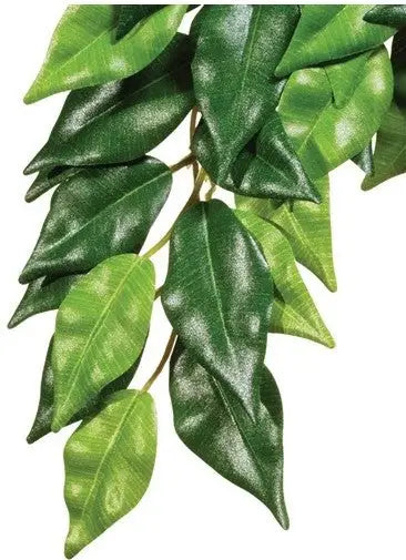 PLANTA TERRARIO SEDA FICUS GRANDE EXO TERRA - Mejor Precio - Mascotas Ávila