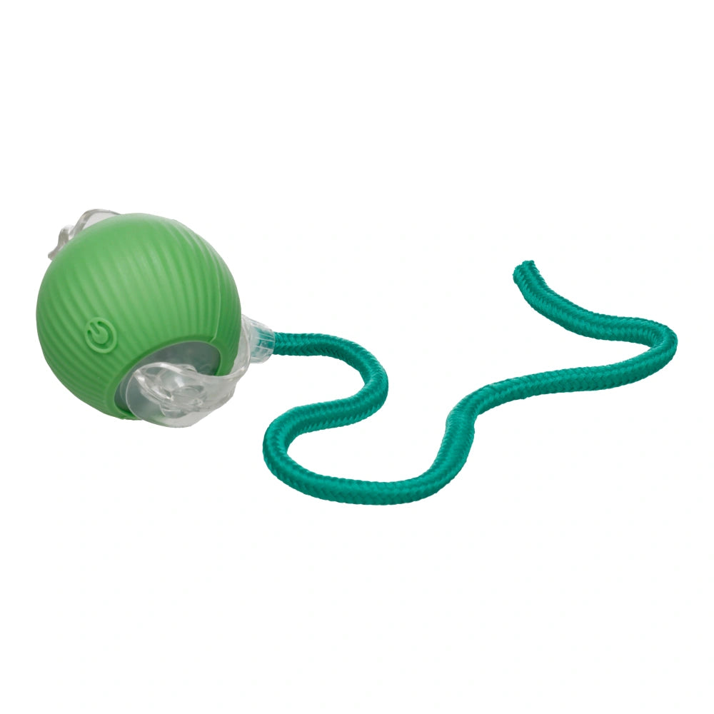 Flamingo Sili Juguete Electrónico Pelota con Cuerda Verde para Gatos FLAMINGO Mascotas-Ávila