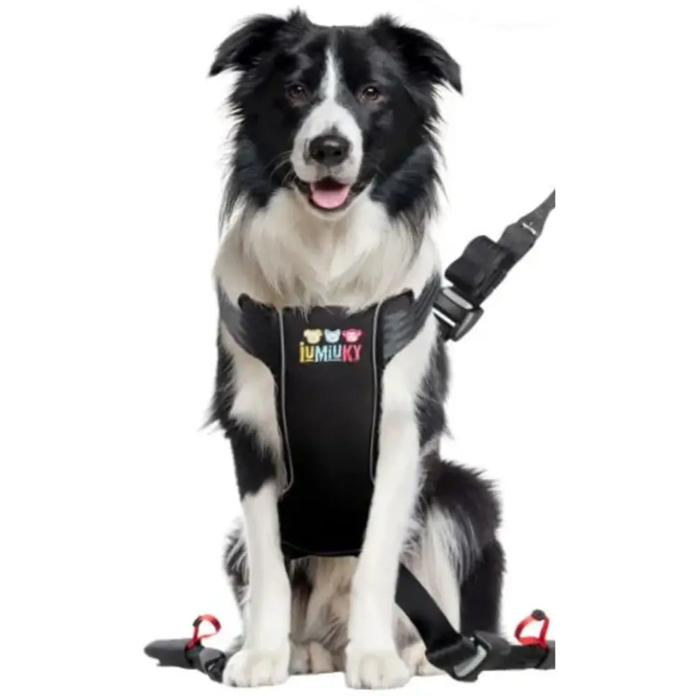 Iumiuky Travel Fix Arnés Pet Coche para Perros IUMIUKY Mascotas-Ávila