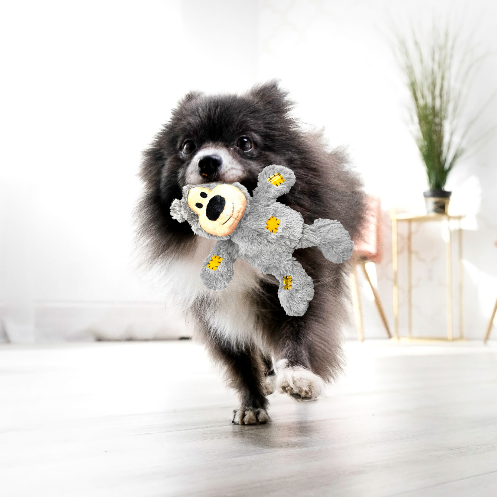 Kong Juguete Perro Oso Xs KONG Mascotas-Ávila