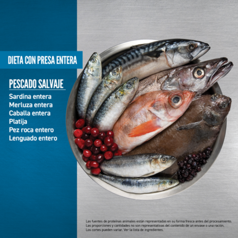 Orijen Dog Six Fish Orijen Mascotas-Ávila