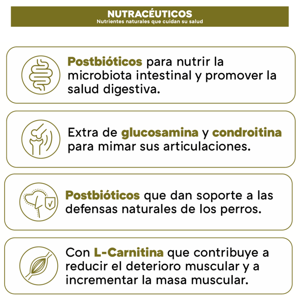 Picart Select Adult Sensitive Lamb & Rice Pienso para Perros de Cordero y Arroz PICART SELECT Mascotas-Ávila