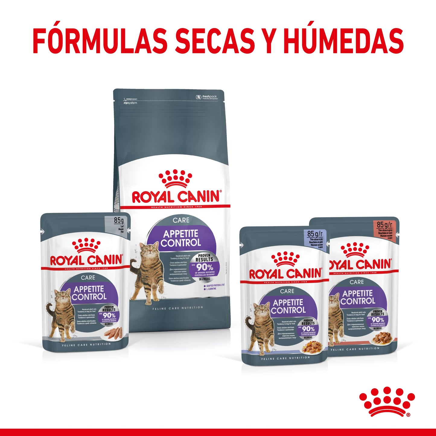 Royal Canin Appetite Control Pienso para Gatos ROYAL CANIN