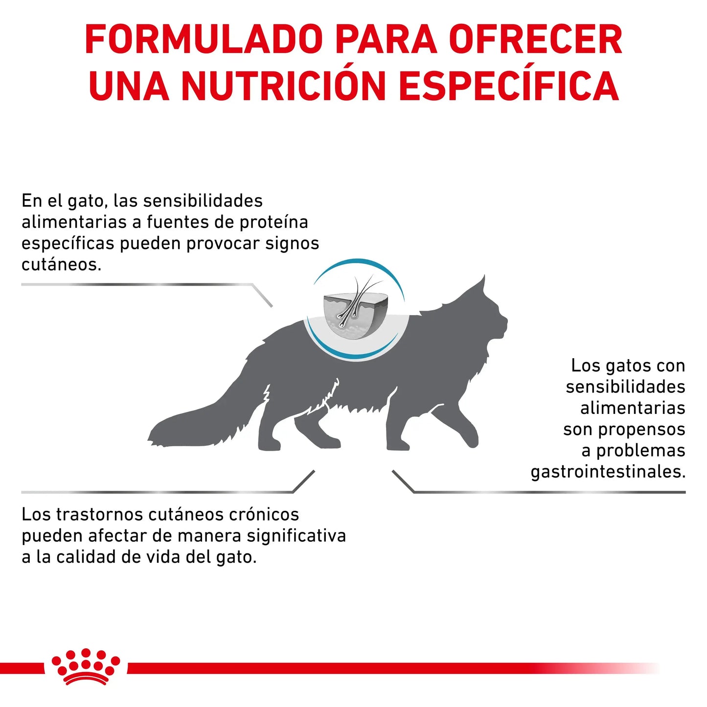 Royal Canin Anallergenic | Pienso para Gatos con Intolerancias y Alergias Alimentarias ROYAL CANIN VET Mascotas-Ávila