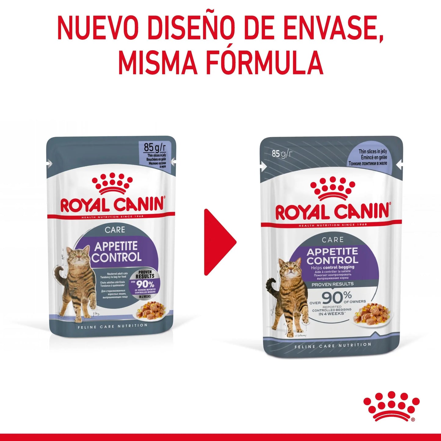 Royal Canin Appetite Control Finas Láminas en Gelatina 85 g Húmedo para Gatos ROYAL CANIN Mascotas-Ávila