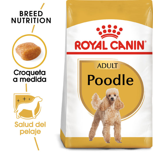 Royal Canin Caniche Poodle Pienso para Perros de Raza
