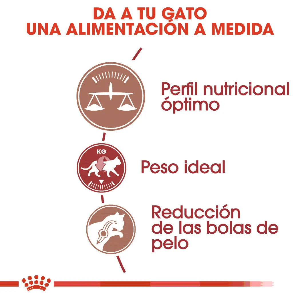 Royal Canin Fit 32 Pienso Seco para Gatos Adultos ROYAL CANIN Mascotas-Ávila