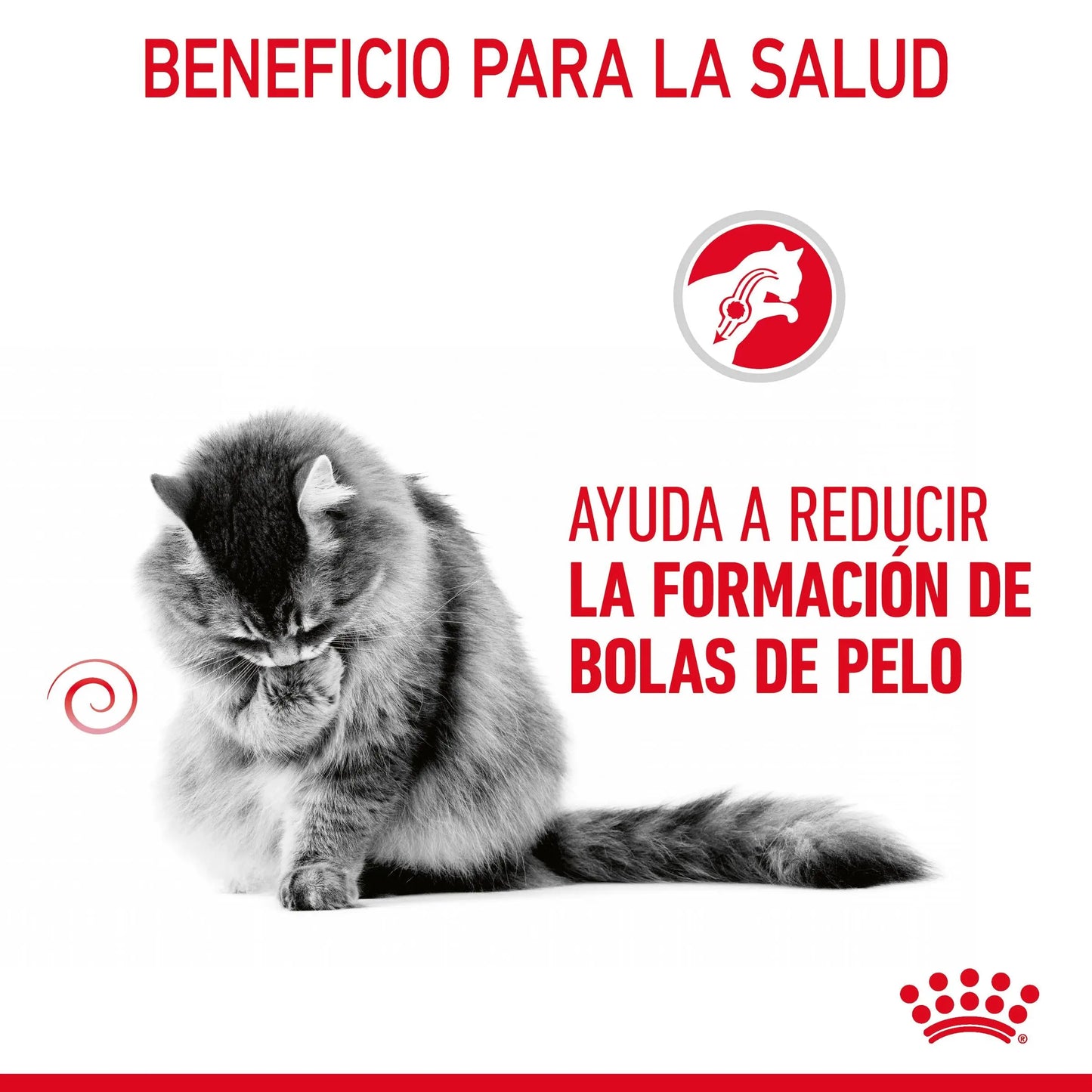 Royal Canin Hairball Care Finas Láminas en Salsa 85 g Húmedo para Gatos ROYAL CANIN Mascotas-Ávila
