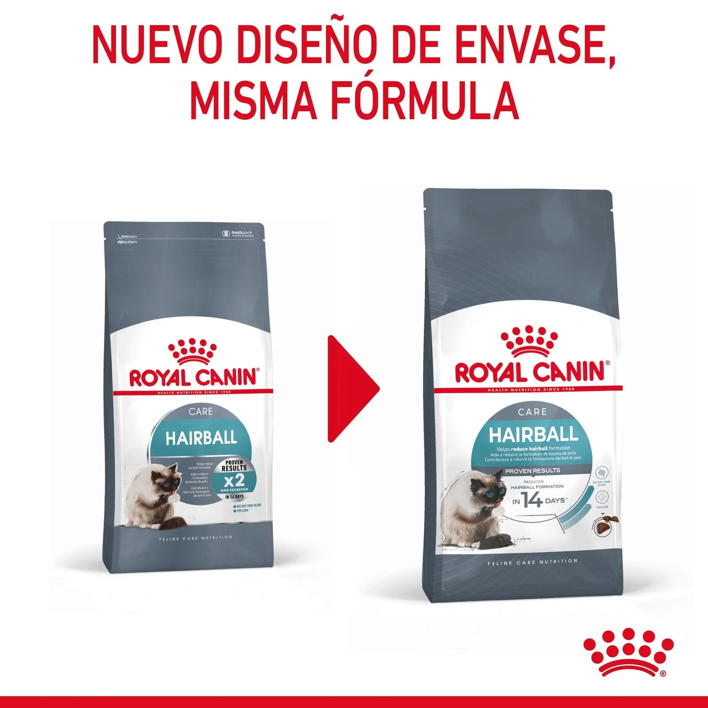 Royal Canin Hairball Care Pienso para Gatos Anti Bolas de Pelo ROYAL CANIN Mascotas-Ávila