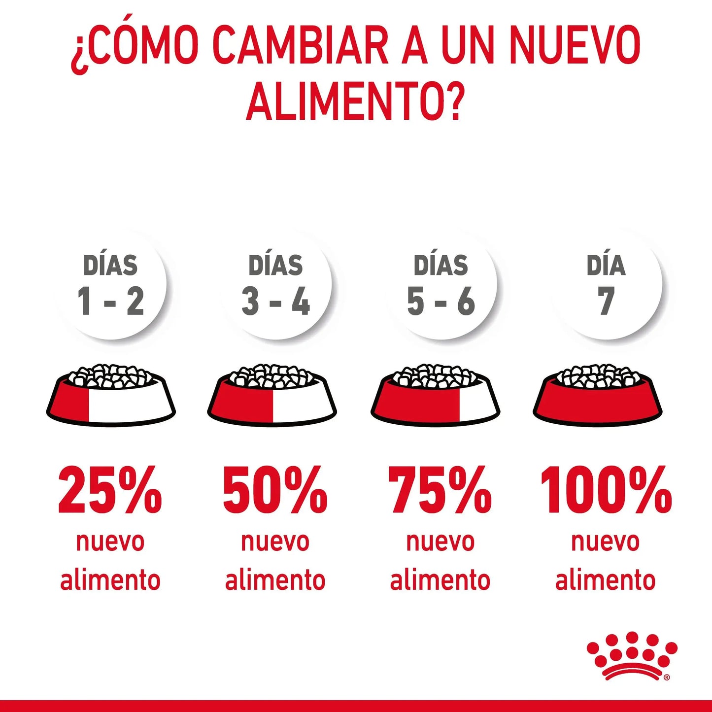 Royal Canin Hairball Care Pienso para Gatos Anti Bolas de Pelo ROYAL CANIN Mascotas-Ávila