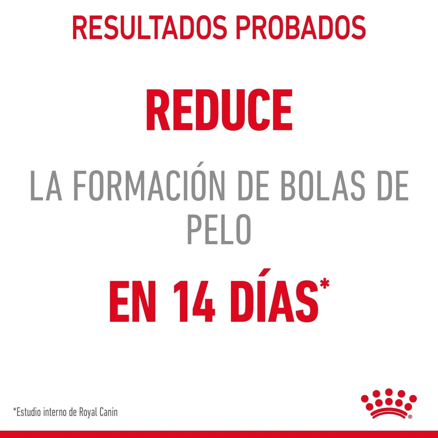Royal Canin Hairball Care Pienso para Gatos Anti Bolas de Pelo ROYAL CANIN Mascotas-Ávila