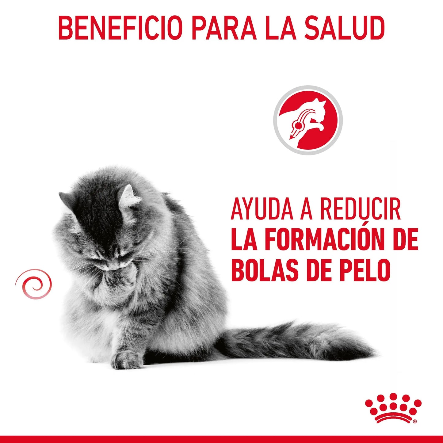 Royal Canin Hairball Care Pienso para Gatos Anti Bolas de Pelo ROYAL CANIN Mascotas-Ávila