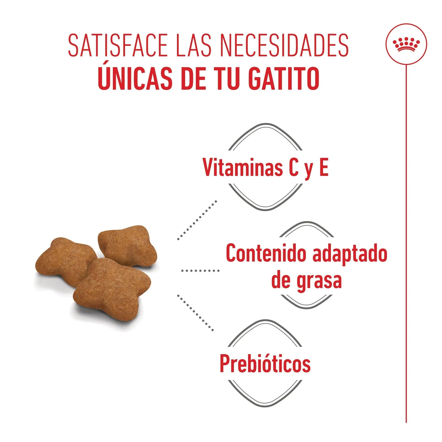 Royal Canin Kitten Sterilized Pienso para Gatitos Esterilizados ROYAL CANIN Mascotas-Ávila