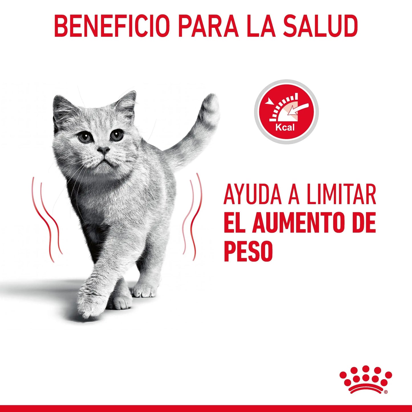 Royal Canin Light Weight Care Pienso para Gatos ROYAL CANIN Mascotas-Ávila