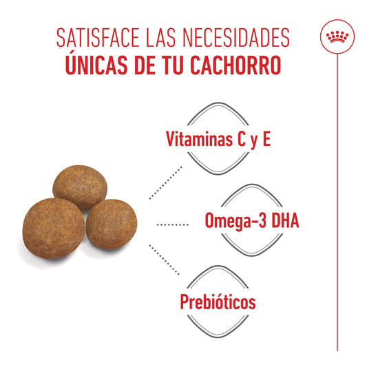 Royal Canin Maxi Puppy Pienso para Cachorros