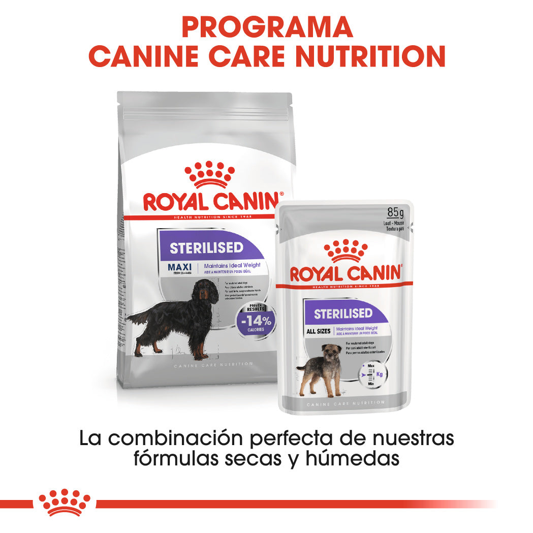 Royal Canin Maxi Sterilized Care Pienso para Perros Esterilizados ROYAL CANIN Mascotas-Ávila