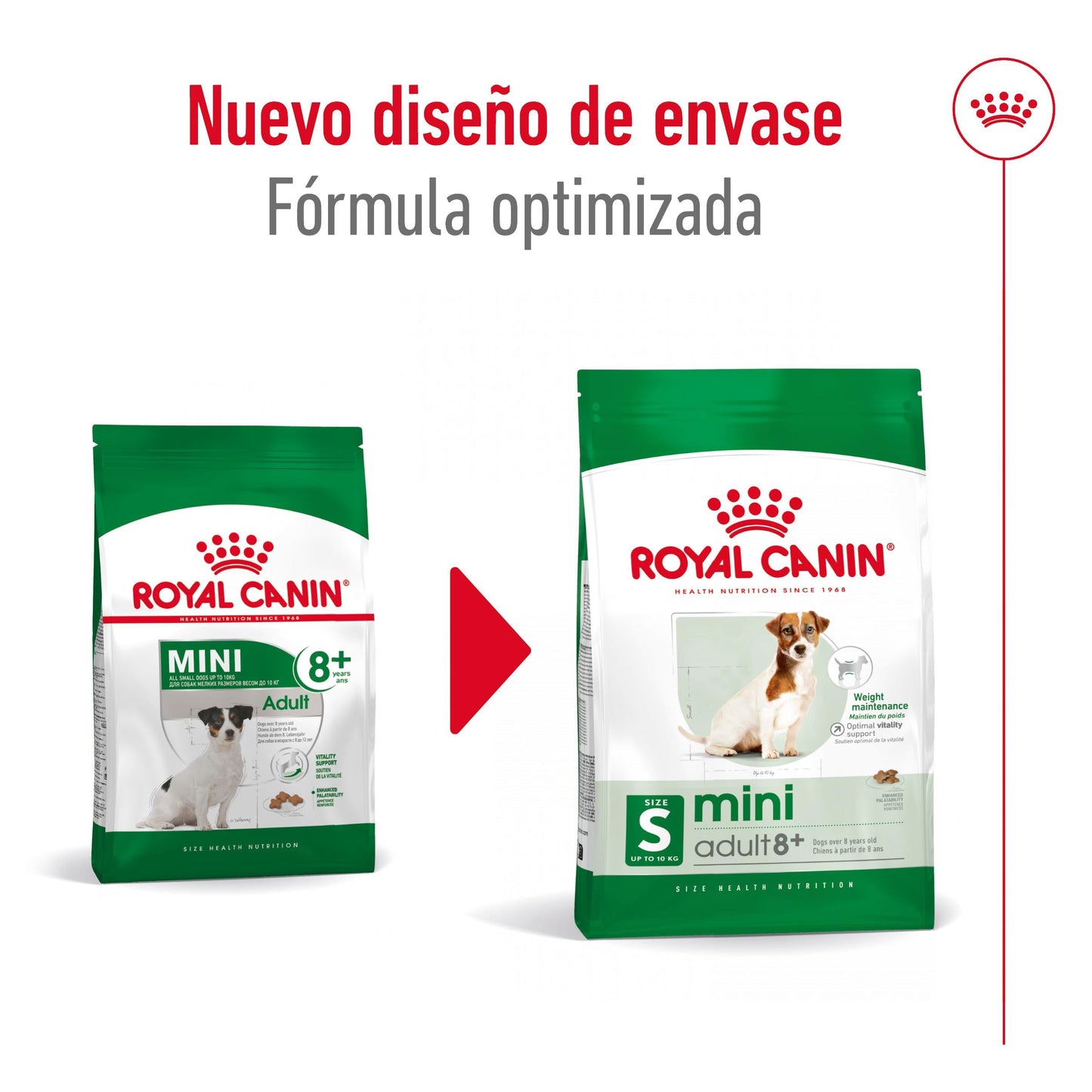 Royal Canin Mini Adult 8+ Pienso para Perros ROYAL CANIN Mascotas-Ávila