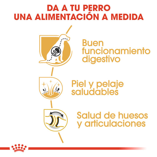 Royal Canin Pastor Alemán Adult 11 kg Pienso para Perros de Raza