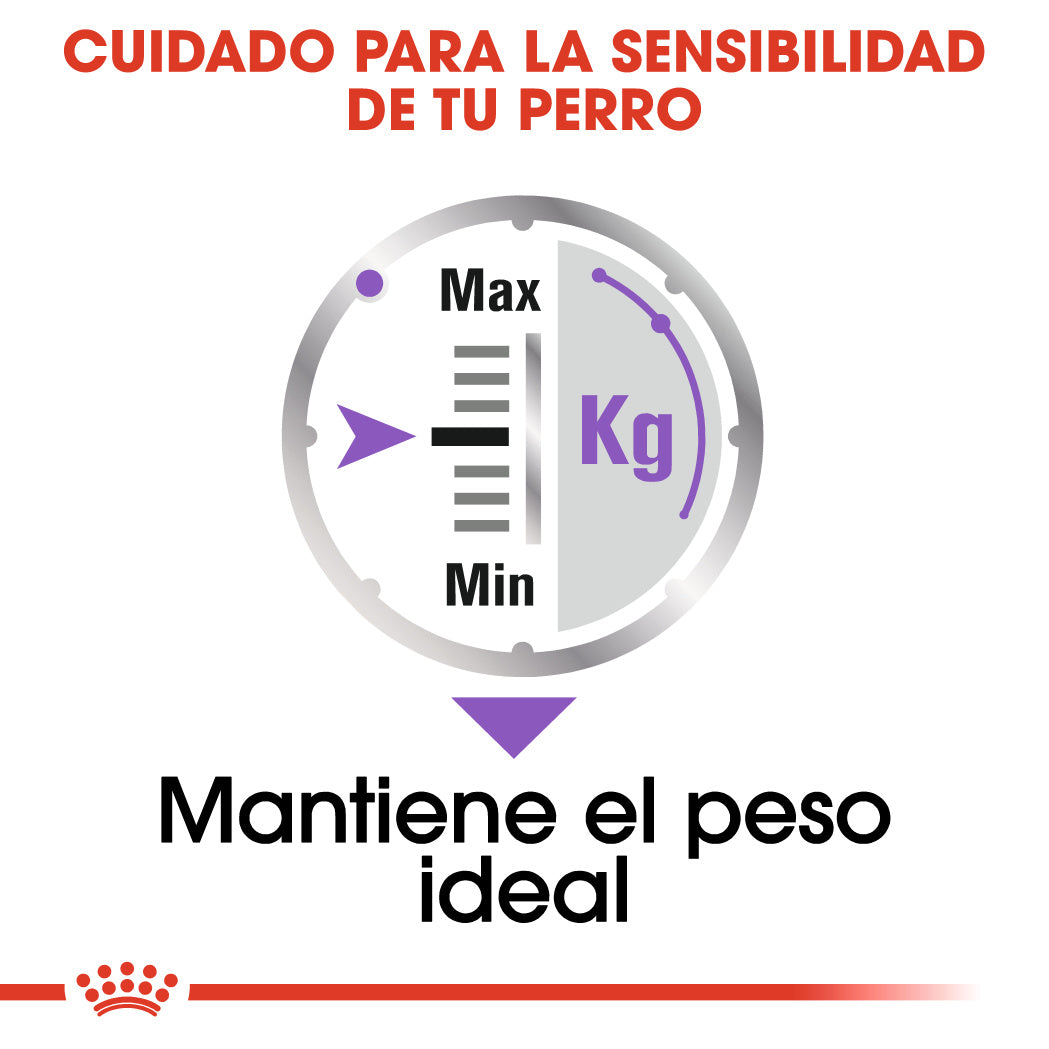 Royal Canin Sterilized Care Paté 85 g Comida Húmeda para Perros ROYAL CANIN Mascotas-Ávila