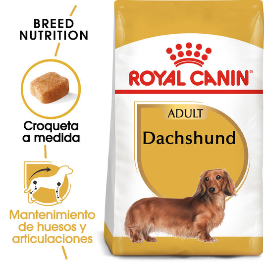 Royal Canin Teckel Dachsund Adulto Pienso para Perros de Raza Salchicha