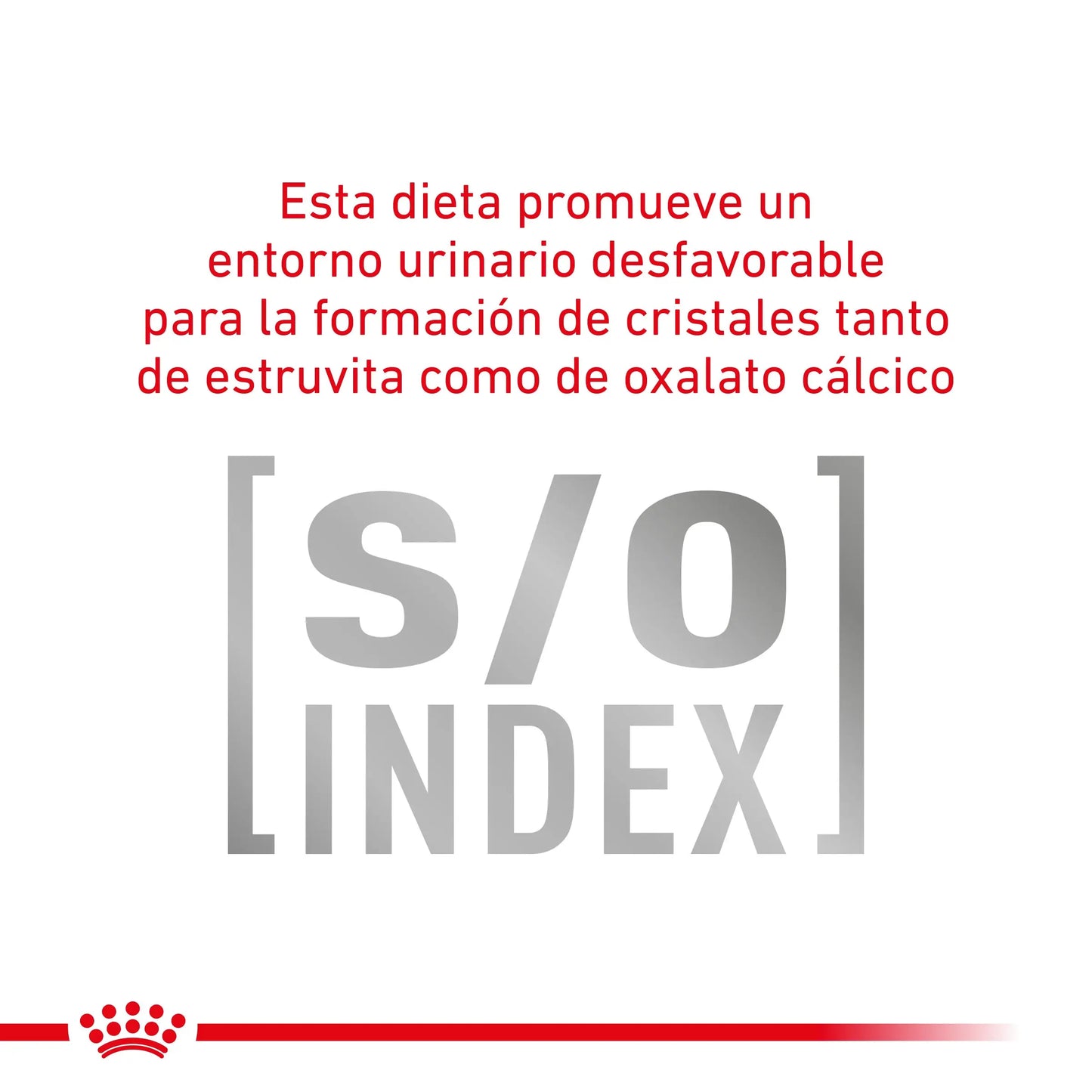 Royal Canin Veterinary Gastroinstestinal Moderate Calorie Pienso para Gatos ROYAL CANIN VETERINARY Mascotas-Ávila