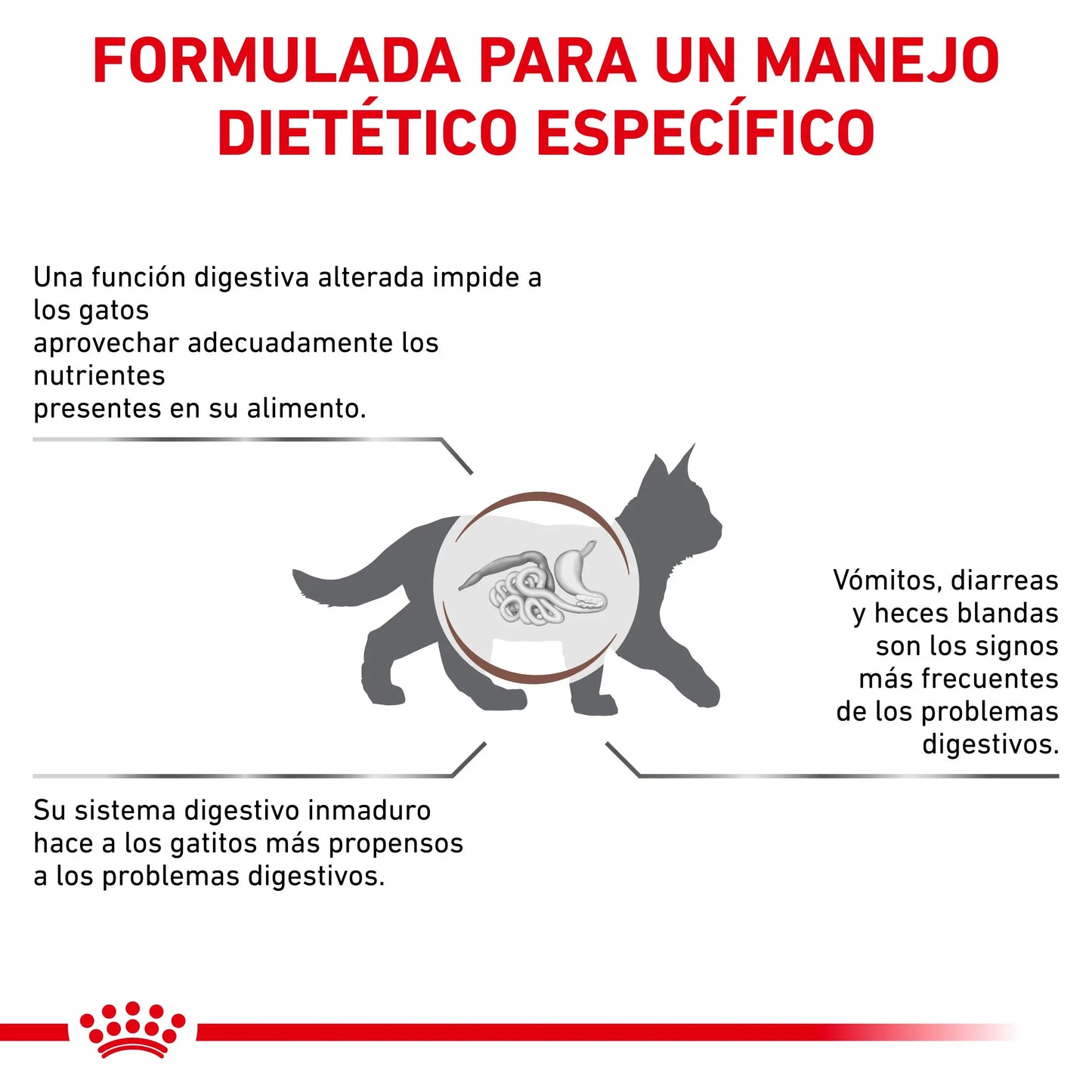 Royal Canin Veterinary Gastrointestinal Kitten Pienso Digestivo para Gatitos ROYAL CANIN VETERINARY Mascotas-Ávila