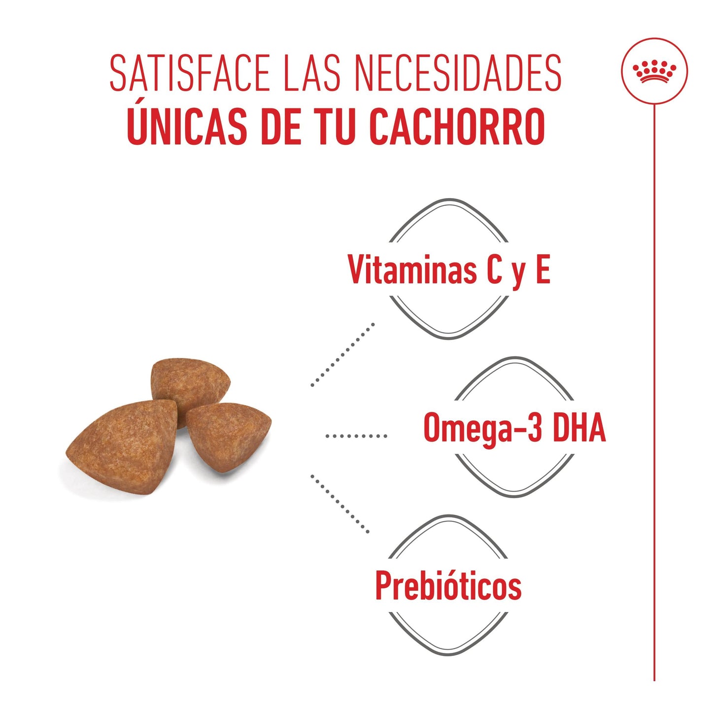 Royal Canin X-Small Puppy Pienso para Cachorros ROYAL CANIN Mascotas-Ávila