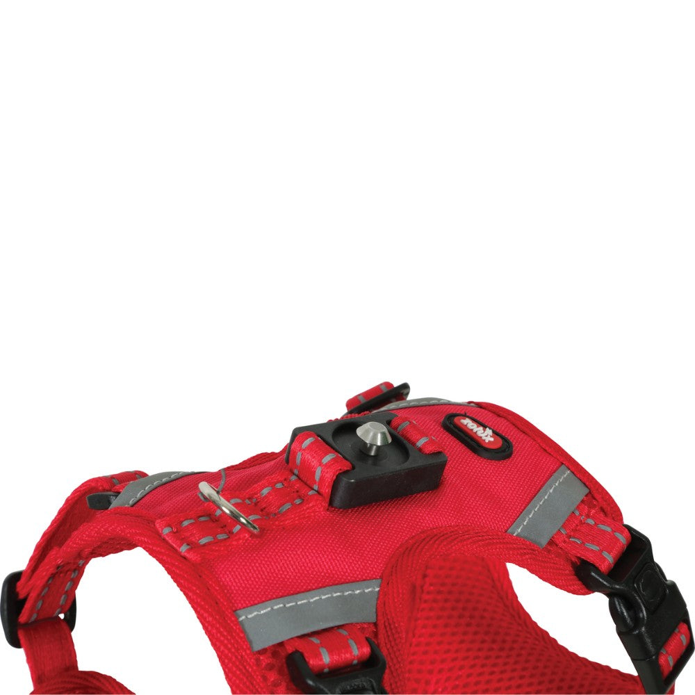 Zolux Kit Correa 2M y Arnés Clip & Go para Perros ZOLUX Mascotas-Ávila